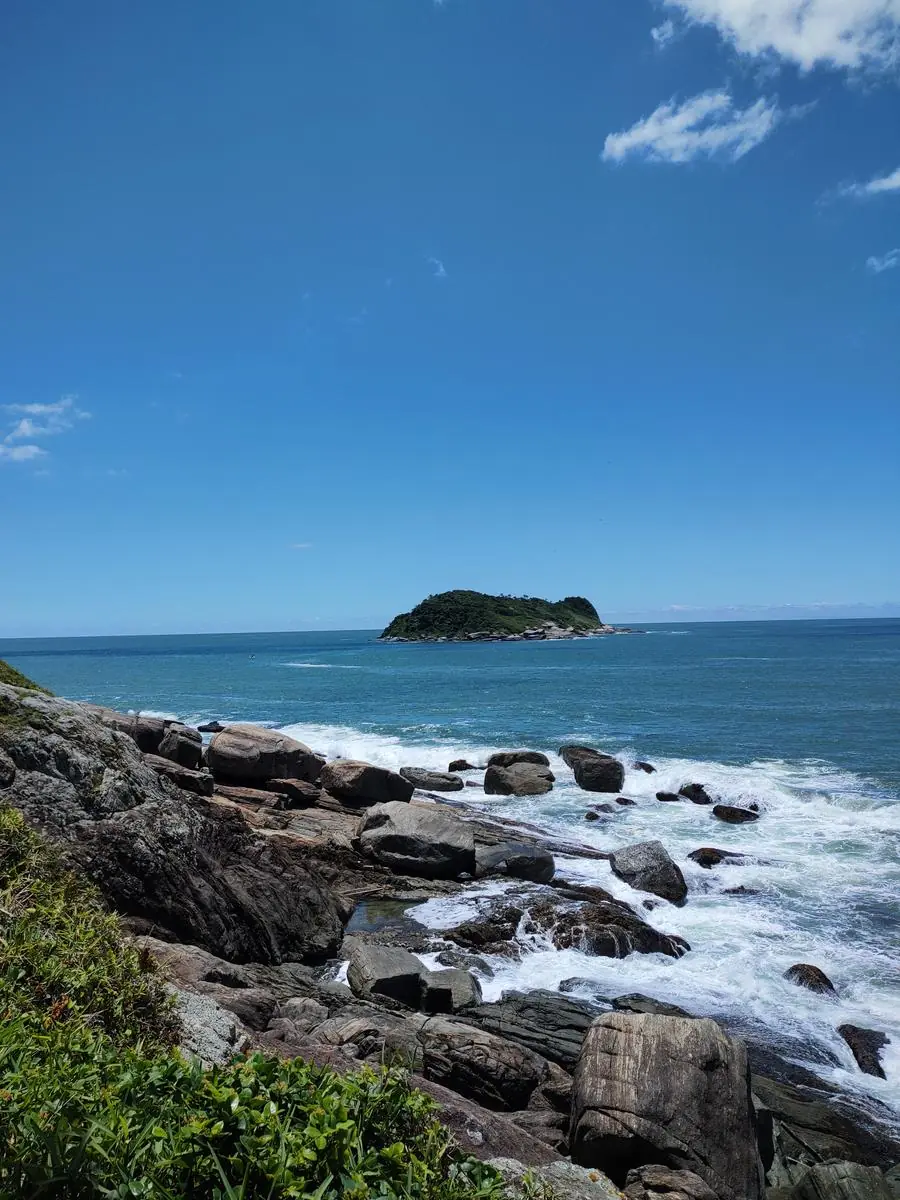 Costão e vegetação da Ilha dos Remédios
